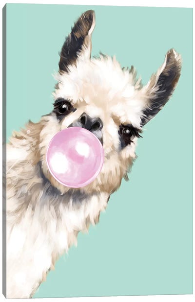 Sneaky Llama Blowing Bubble Gum In Green Canvas Art Print - Animal Humor