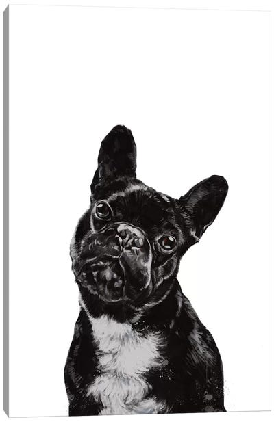 Bulldog Canvas Art Print - Big Nose Work
