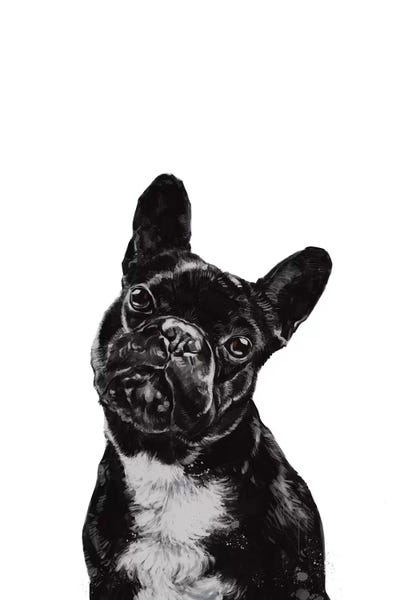 French Bulldogs: Bulldog by Big Nose Work
