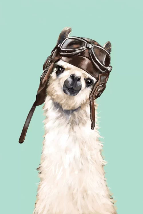 Cool Pilot Llama by Big Nose Work wall art