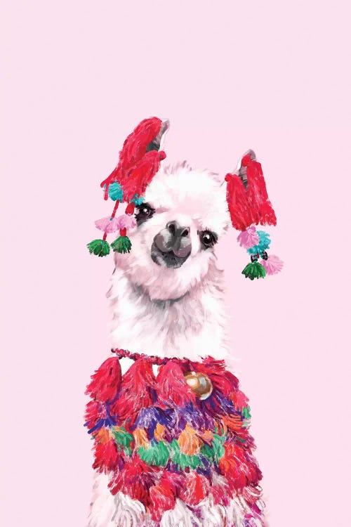 Coolest Llama