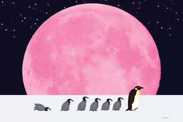 Penguins: Follower by Big Nose Work