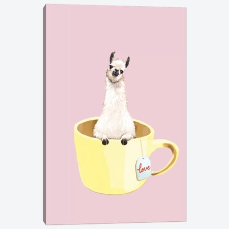 Llama In Cup Canvas Print #BNW55} by Big Nose Work Canvas Print