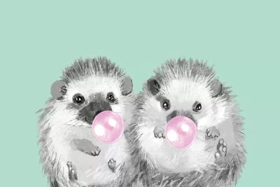 Hedgehogs