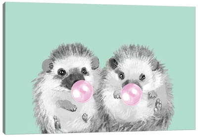 Playful Twins Hedgehog Canvas Art Print - Bubble Gum