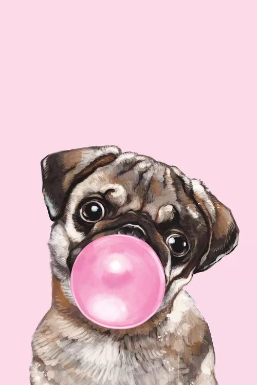 Pug Blowing Bubble Gum In Pink