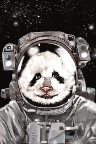 Kids Astronomy & Space Art: Astronaut Panda Selfie by Big Nose Work