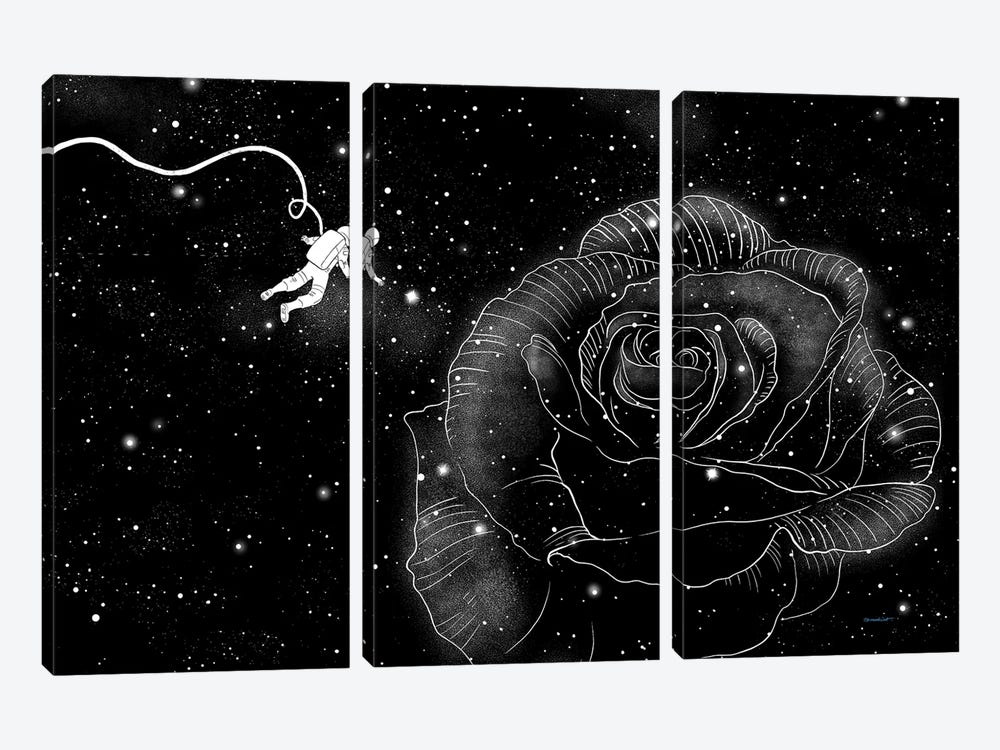 Rose In Space by Big Nose Work 3-piece Canvas Art