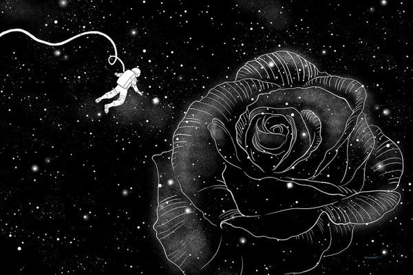 Rose In Space