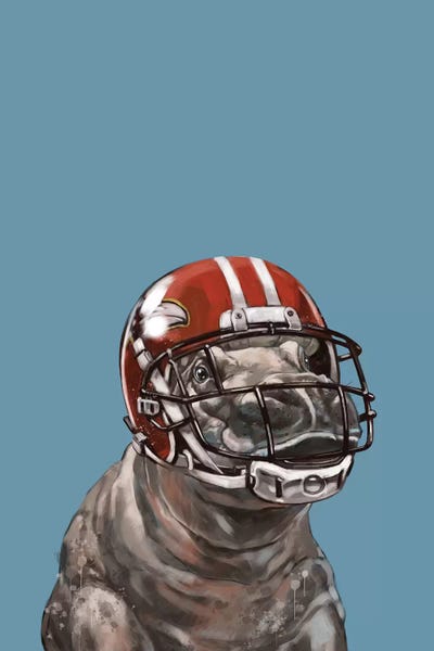 Hippopotamuses: Rugby Hippo by Big Nose Work