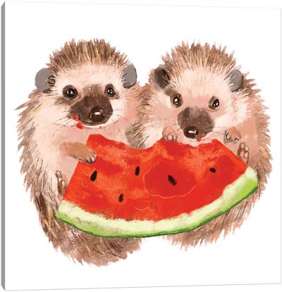 Sharing Canvas Art Print - Hedgehogs