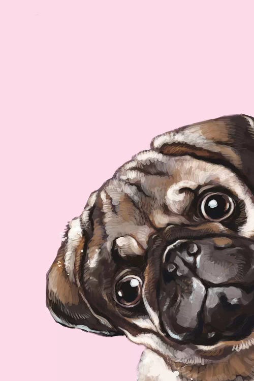 Sneaky Melancholic Pug In Pink