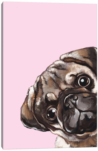 Sneaky Melancholic Pug In Pink Canvas Art Print - Pug Art