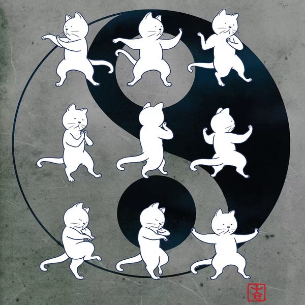 Kids Sports Art: Cat Tai Chi by Big Nose Work