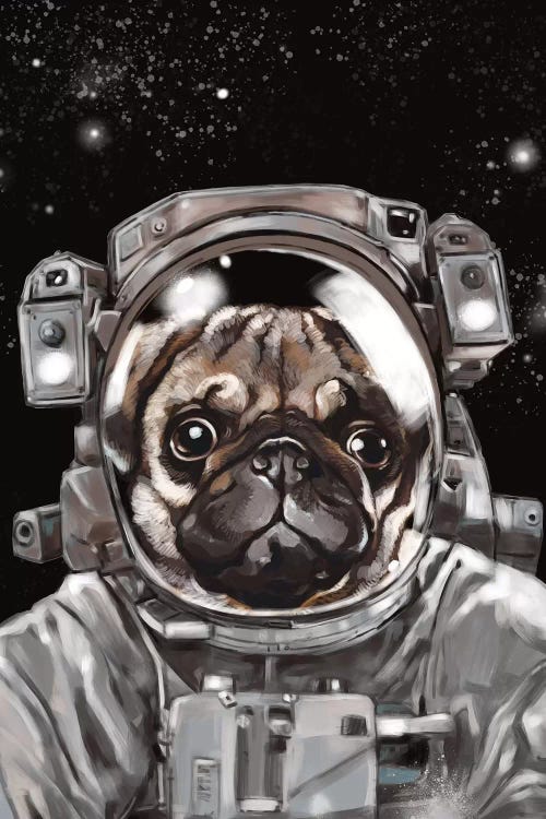 Astronaut Pug Selfie by Big Nose Work wall art