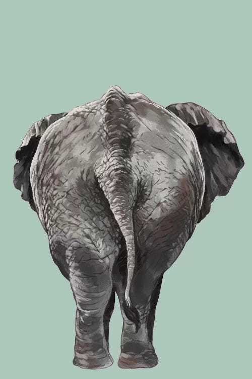 Elephant Butt by Big Nose Work wall art