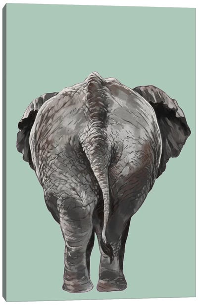 Elephant Butt Canvas Art Print