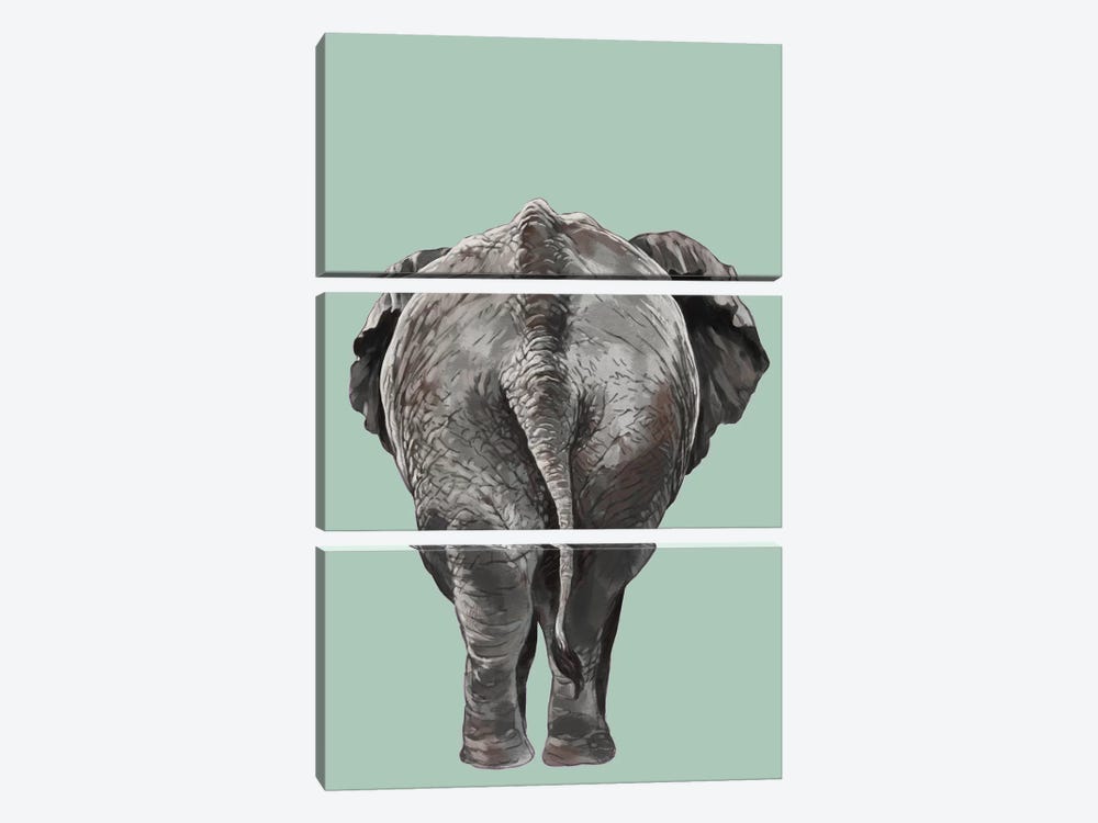 Elephant Butt by Big Nose Work 3-piece Canvas Artwork