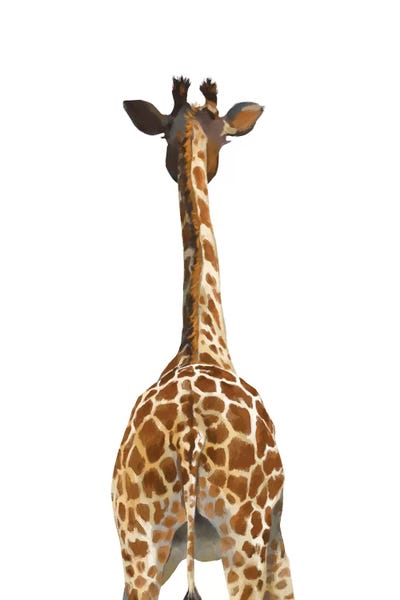 Giraffes: Giraffe Butt by Big Nose Work