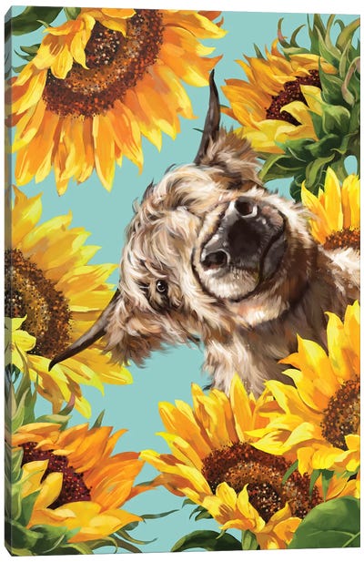 Highland Cow With Sunflower Canvas Art Print - Animal Humor Art