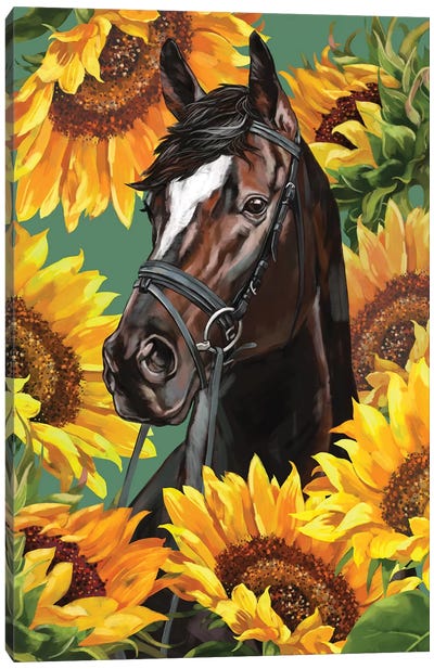 Horsewith Sunflower Canvas Art Print - Big Nose Work