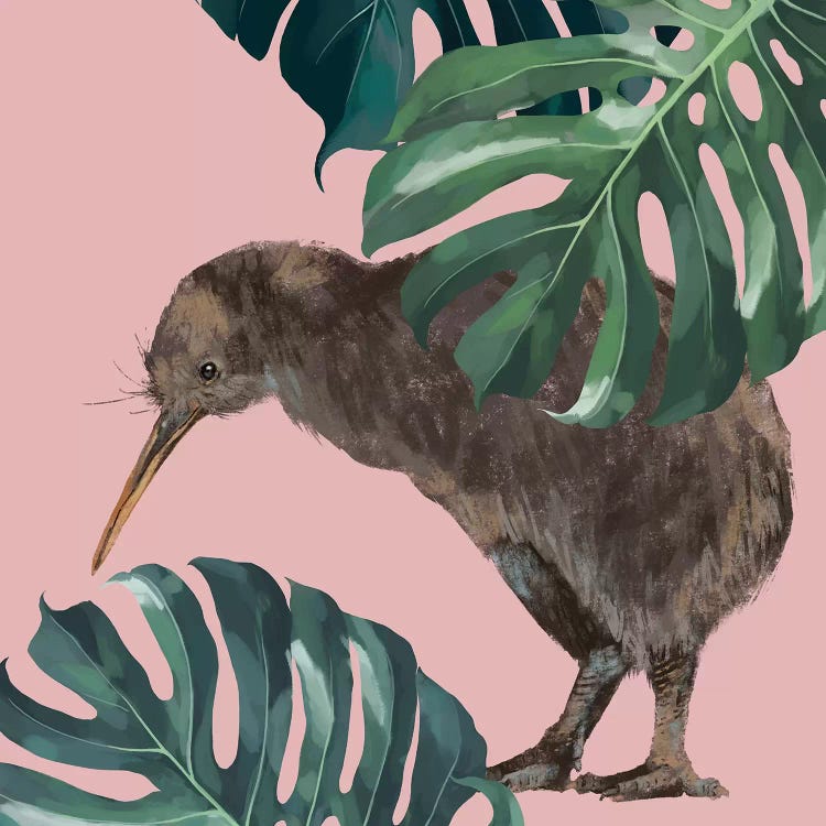 Kiwi Bird With Monstera