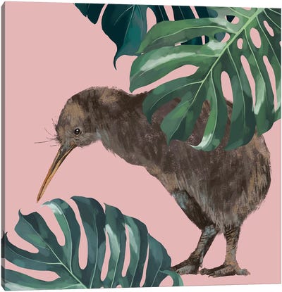 Kiwi Bird With Monstera Canvas Art Print - Big Nose Work