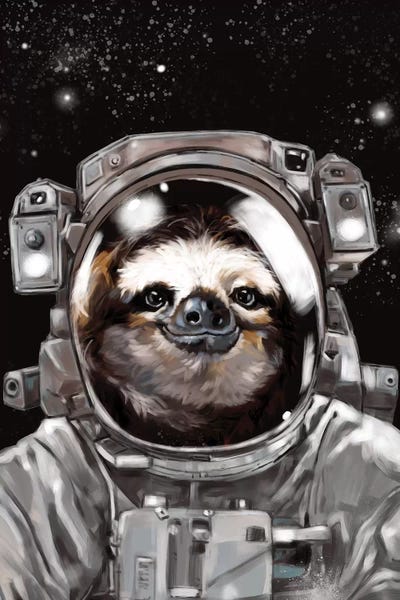 Kids Astronomy & Space Art: Astronaut Sloth Selfie by Big Nose Work