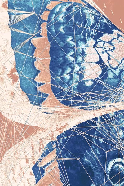 Butterfly Triptych I by 33 Broken Bones canvas print