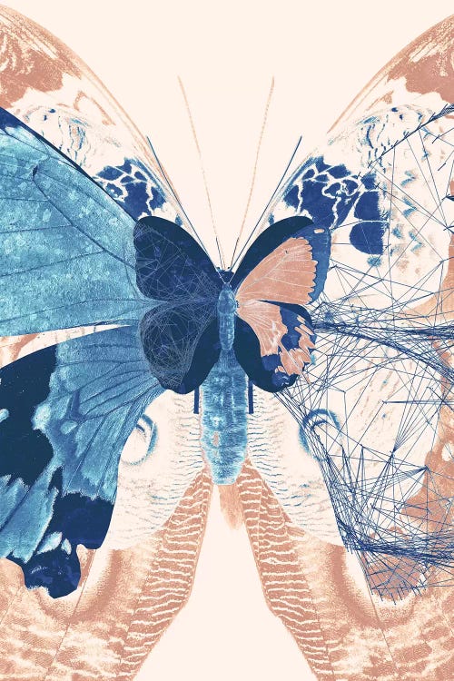 Butterfly Triptych II by 33 Broken Bones canvas print