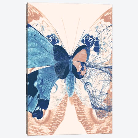 Butterfly Triptych II Canvas Print #BNZ175} by 33 Broken Bones Art Print