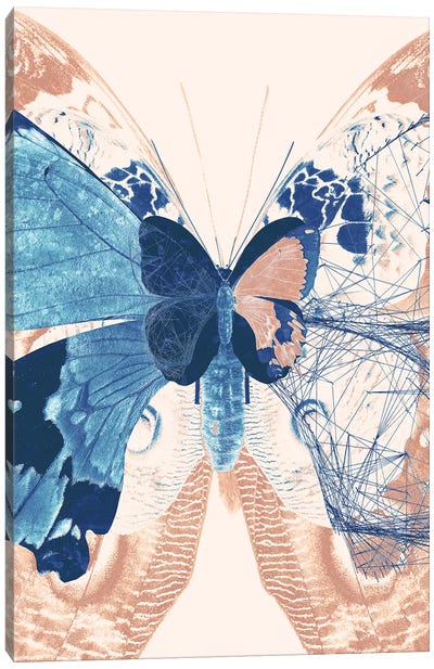 Butterfly Triptych II Canvas Art Print - 33 Broken Bones