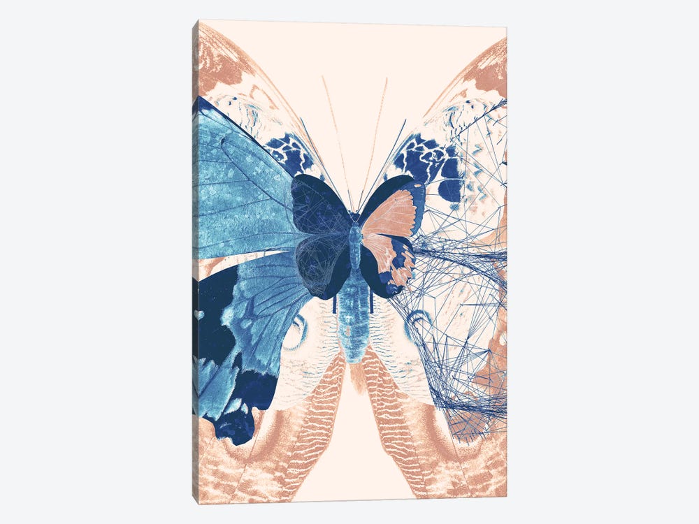 Butterfly Triptych II by 33 Broken Bones 1-piece Canvas Artwork