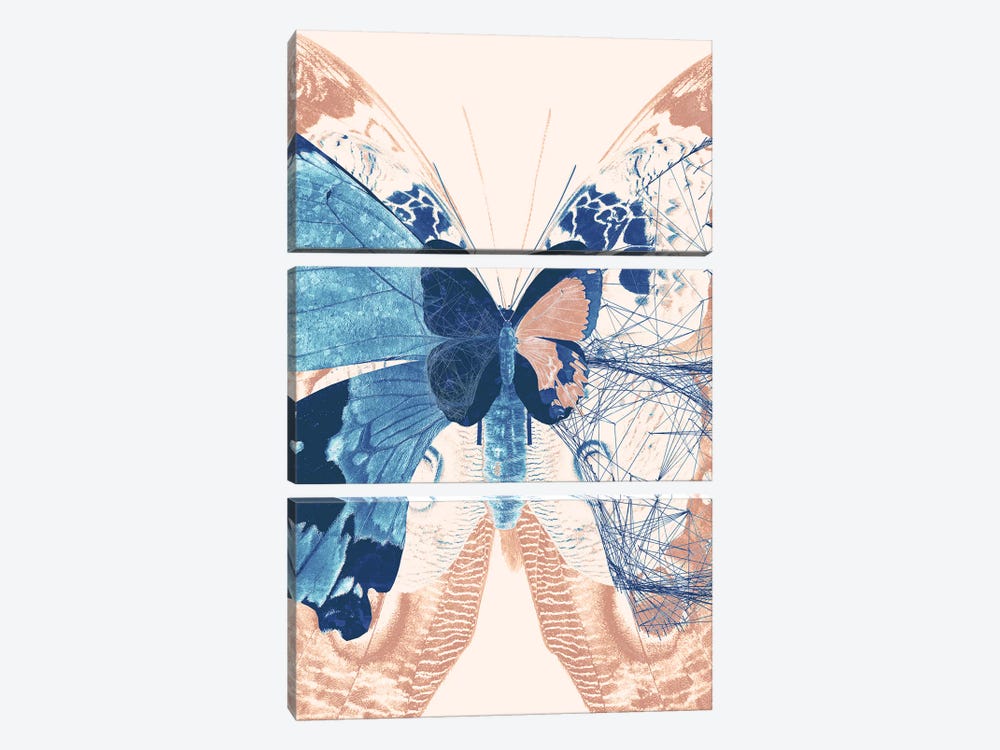 Butterfly Triptych II by 33 Broken Bones 3-piece Canvas Artwork