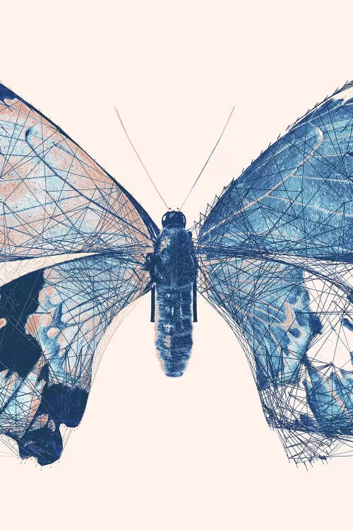 Butterfly V by 33 Broken Bones canvas print
