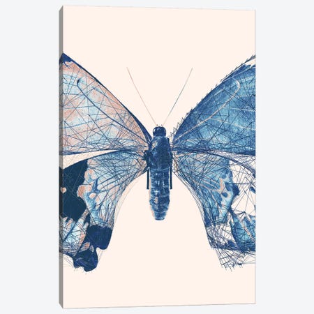 Butterfly V Canvas Print #BNZ178} by 33 Broken Bones Canvas Artwork