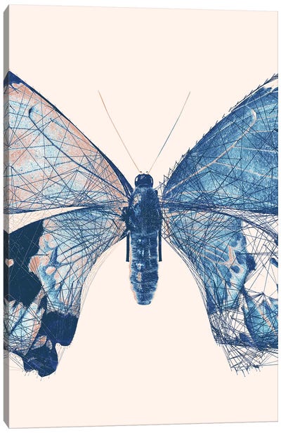 Butterfly V Canvas Art Print - 33 Broken Bones