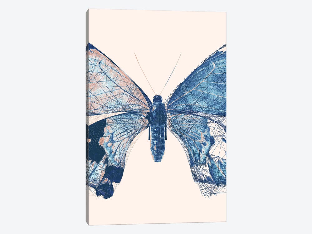 Butterfly V by 33 Broken Bones 1-piece Canvas Print