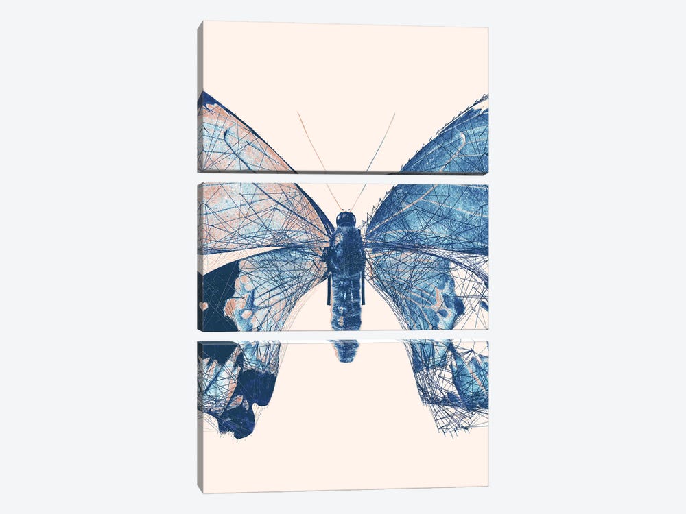 Butterfly V by 33 Broken Bones 3-piece Art Print