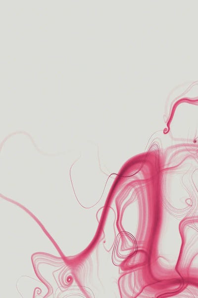 Swirl I by 33 Broken Bones canvas print