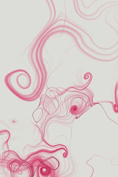 Swirl II by 33 Broken Bones canvas print