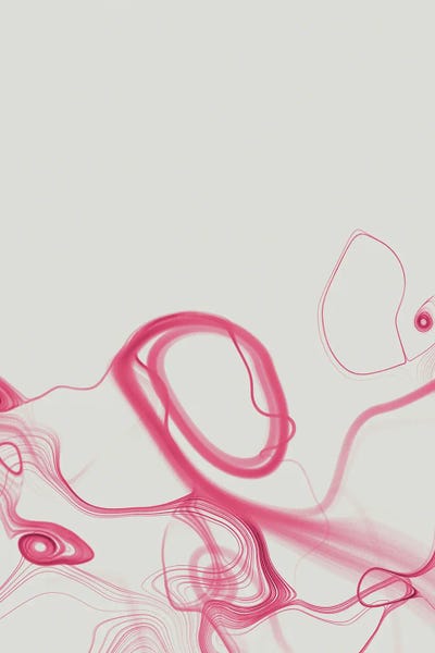 Swirl III by 33 Broken Bones canvas print