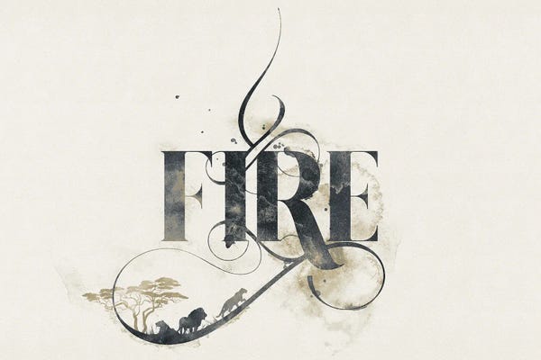 Environmental Conservation: Elemental Typograph - Fire by 33 Broken Bones
