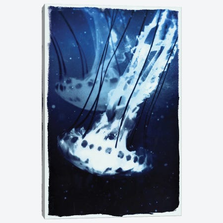 Indigo Jellyfish Canvas Print #BNZ25} by 33 Broken Bones Canvas Art Print