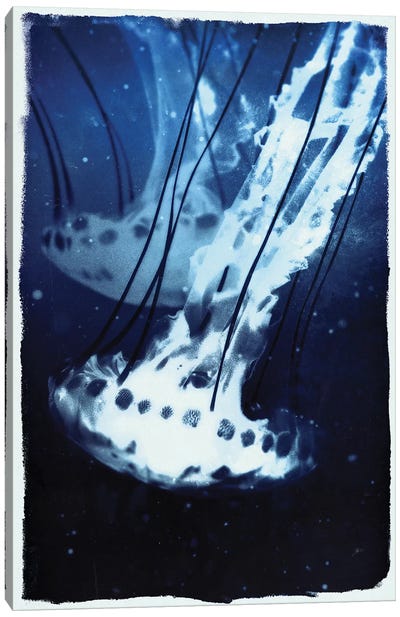 Indigo Jellyfish Canvas Art Print - 33 Broken Bones