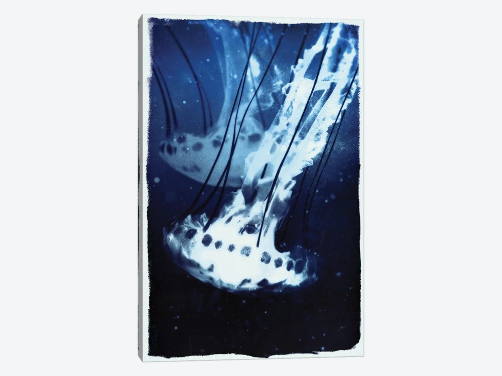 Indigo Jellyfish by 33 Broken Bones 1-piece Canvas Art Print
