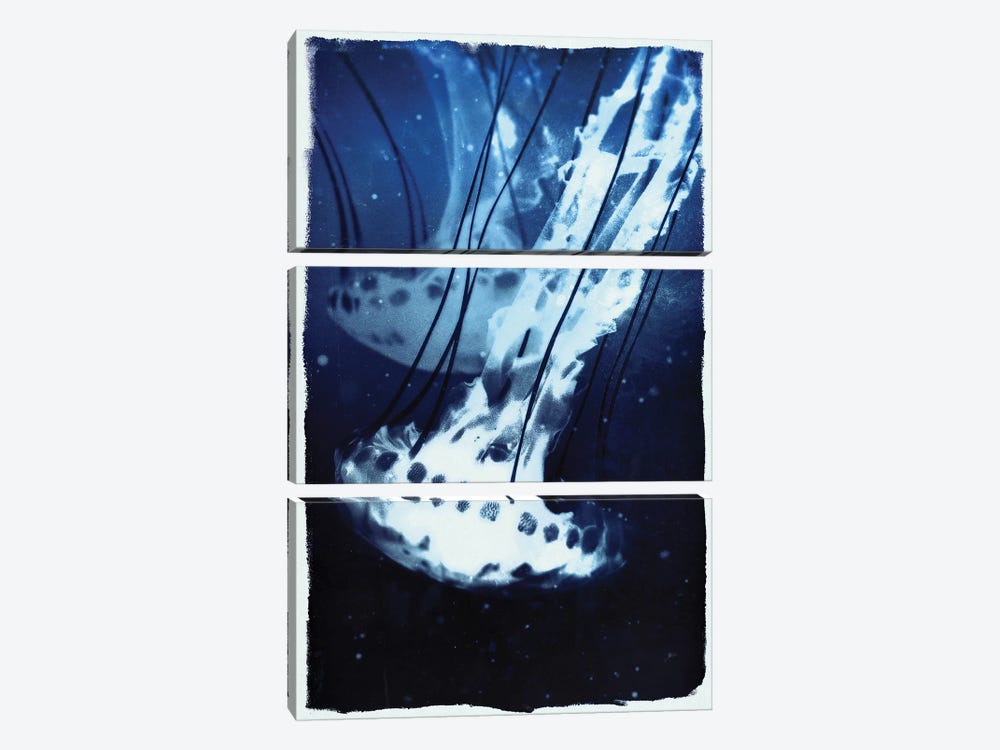 Indigo Jellyfish by 33 Broken Bones 3-piece Canvas Art Print