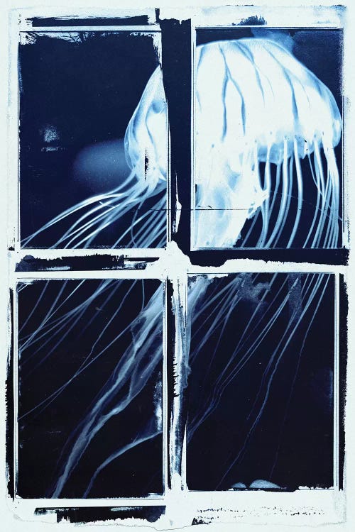 Indigo Jellyfish Squares by 33 Broken Bones wall art