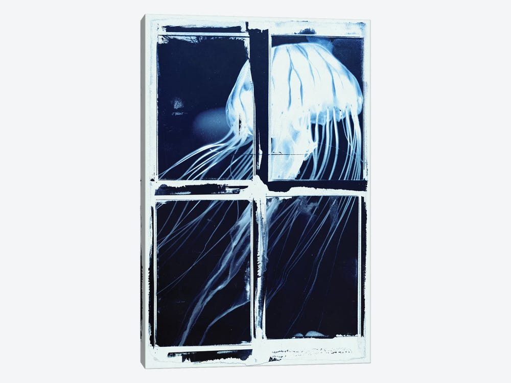 Indigo Jellyfish Squares by 33 Broken Bones 1-piece Canvas Artwork
