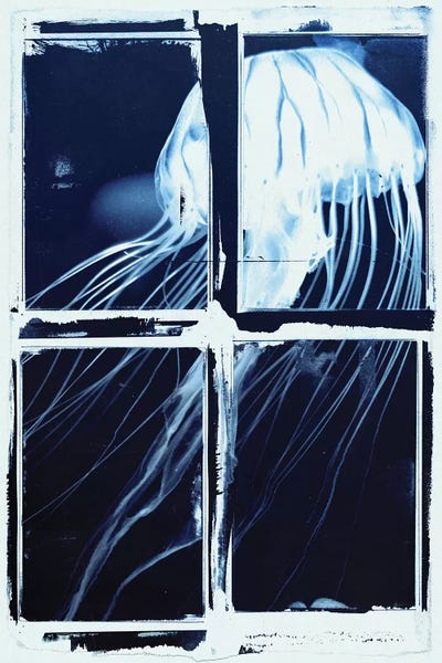 33 Broken Bones: Indigo Jellyfish Squares by 33 Broken Bones